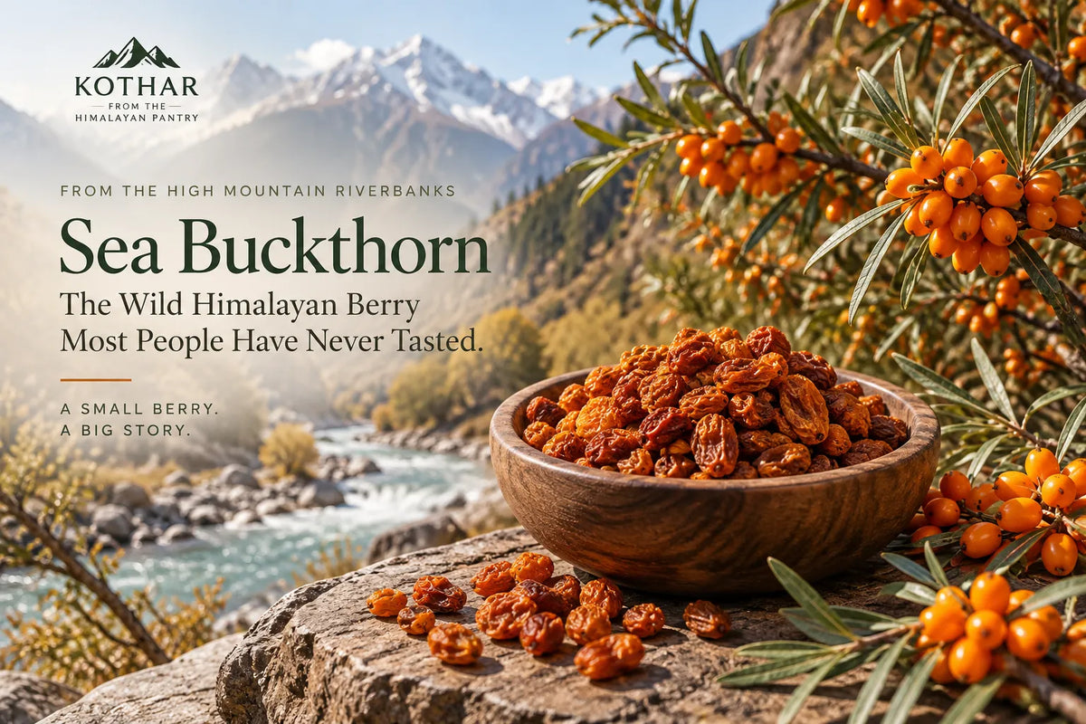 Sea Buckthorn: The Wild Himalayan Berry Most People Have Never Tasted