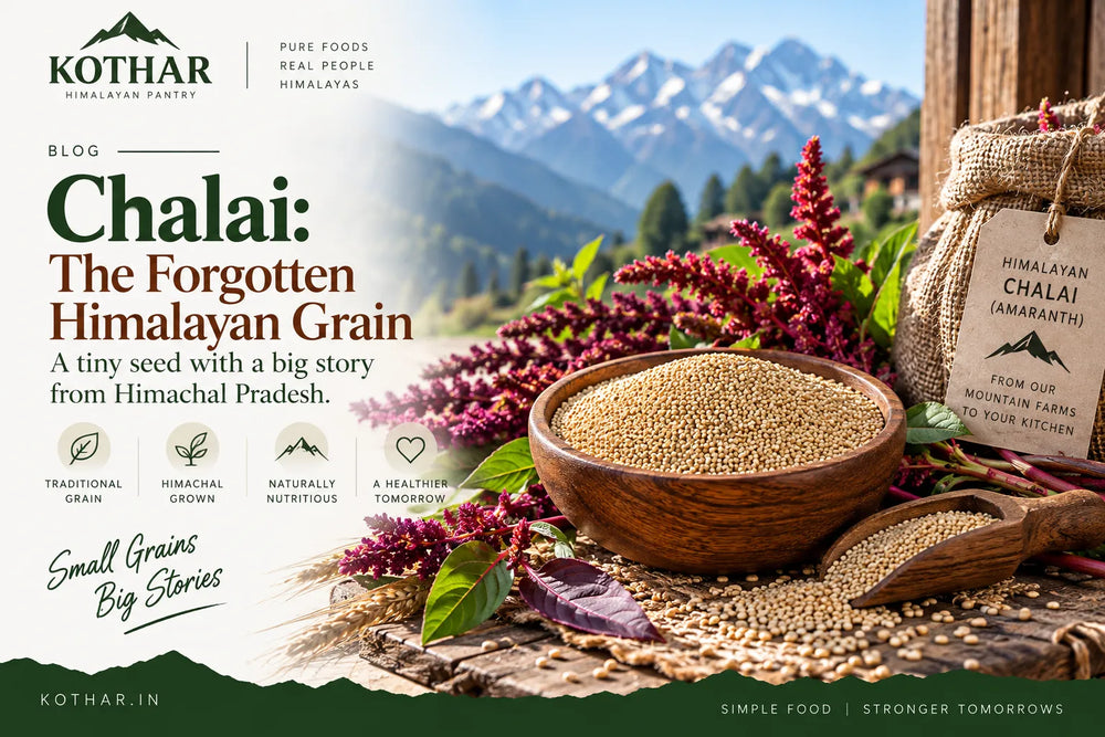 Chalai: The Forgotten Himalayan Amaranth From Himachal Pradesh
