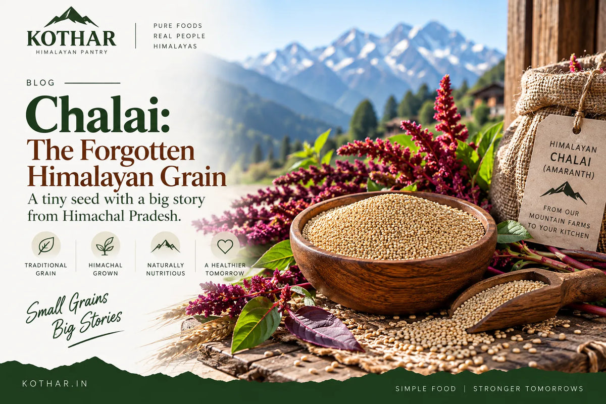 Chalai: The Forgotten Himalayan Amaranth From Himachal Pradesh