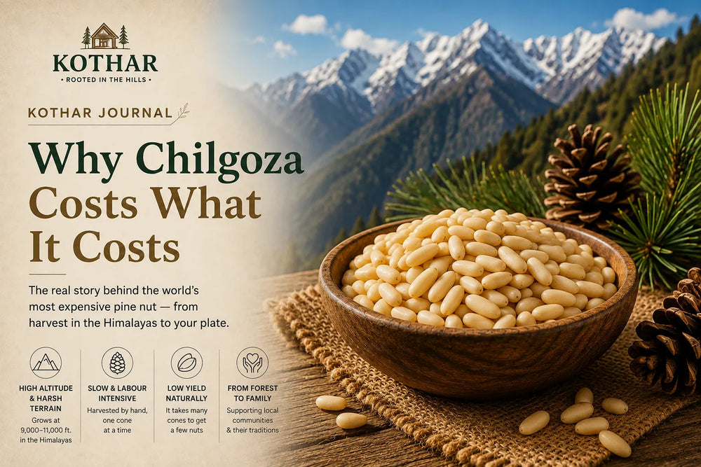 Why Chilgoza Costs What It Costs