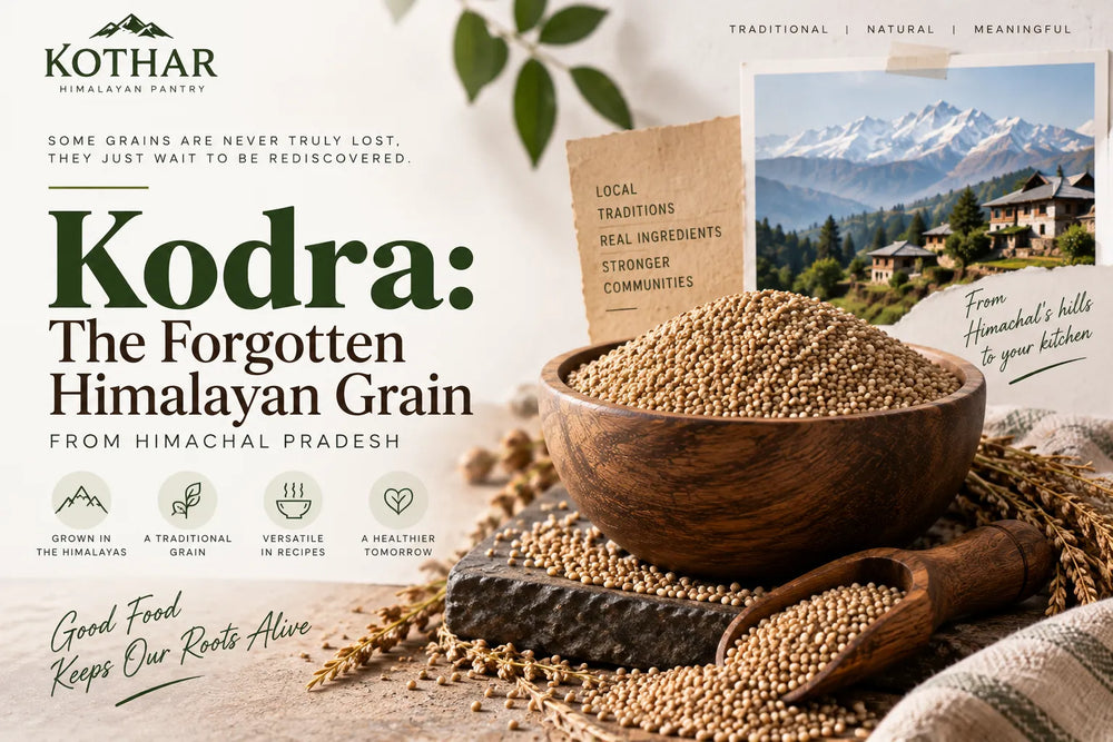 Kodra: The Forgotten Himalayan Grain From Himachal Pradesh