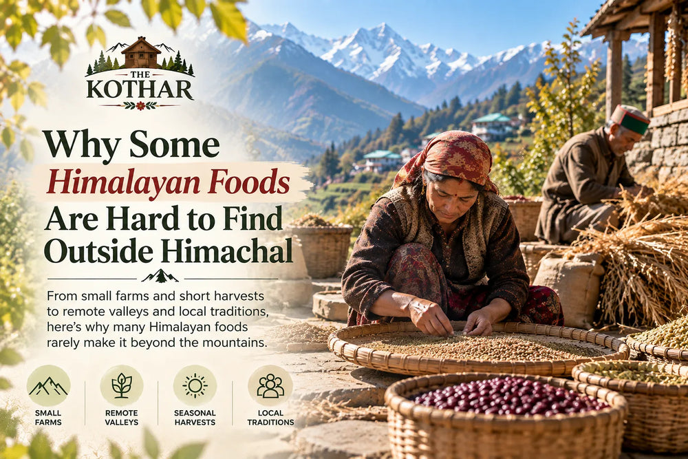 Why Some Himalayan Foods Are Hard to Find Outside Himachal