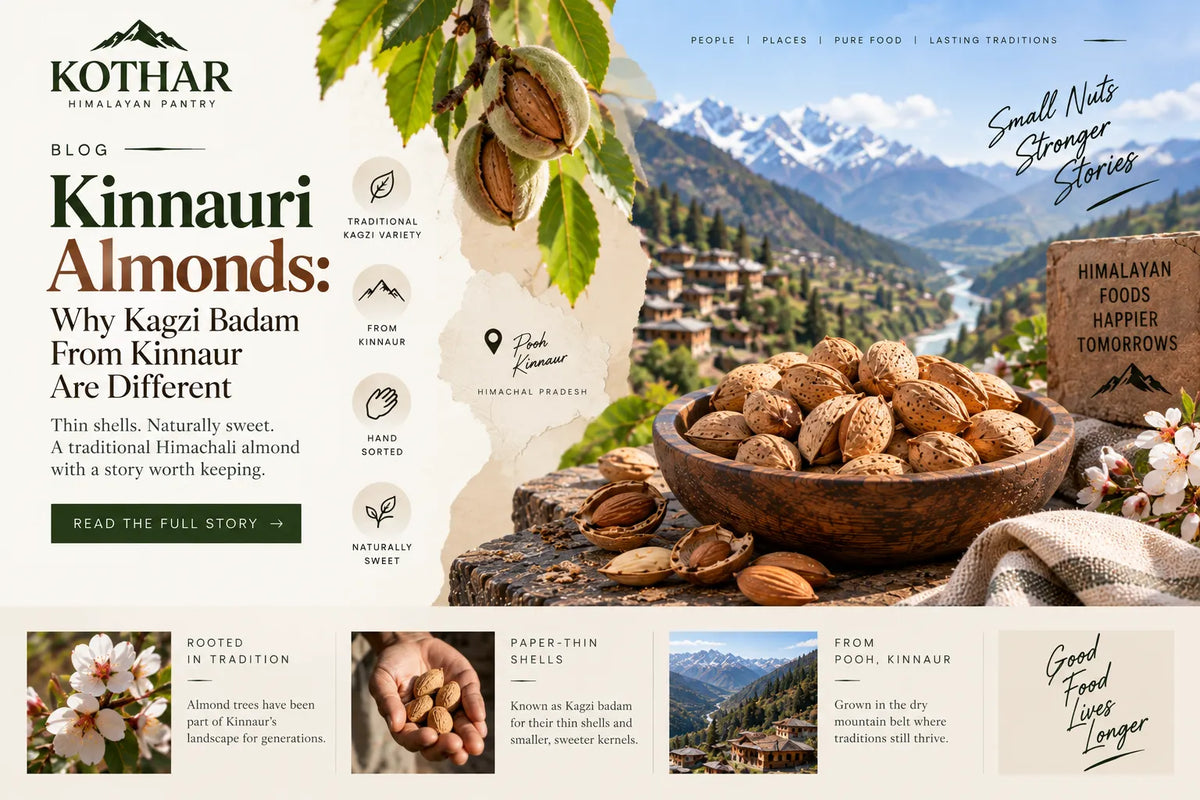 Kinnauri Almonds: Why Kagzi Badam From Kinnaur Are Different