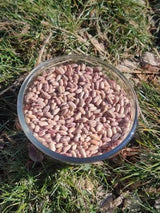Local Pahadi Rajma