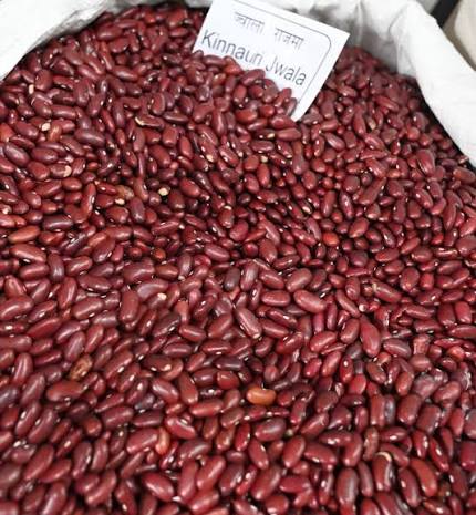 Local Pahadi Rajma राजमा
